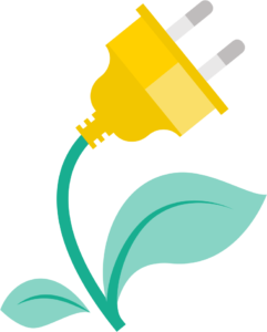 enchufe plant
